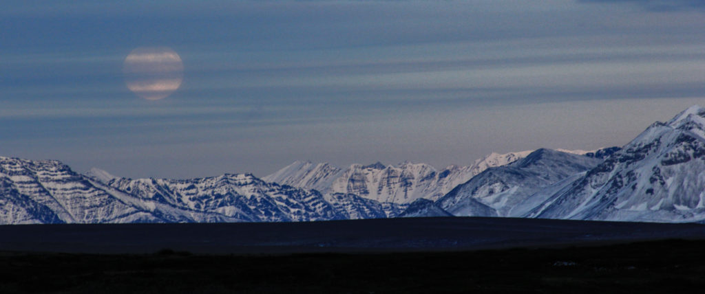 scenic_website_size (2 of 2)