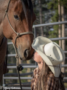 equine photography